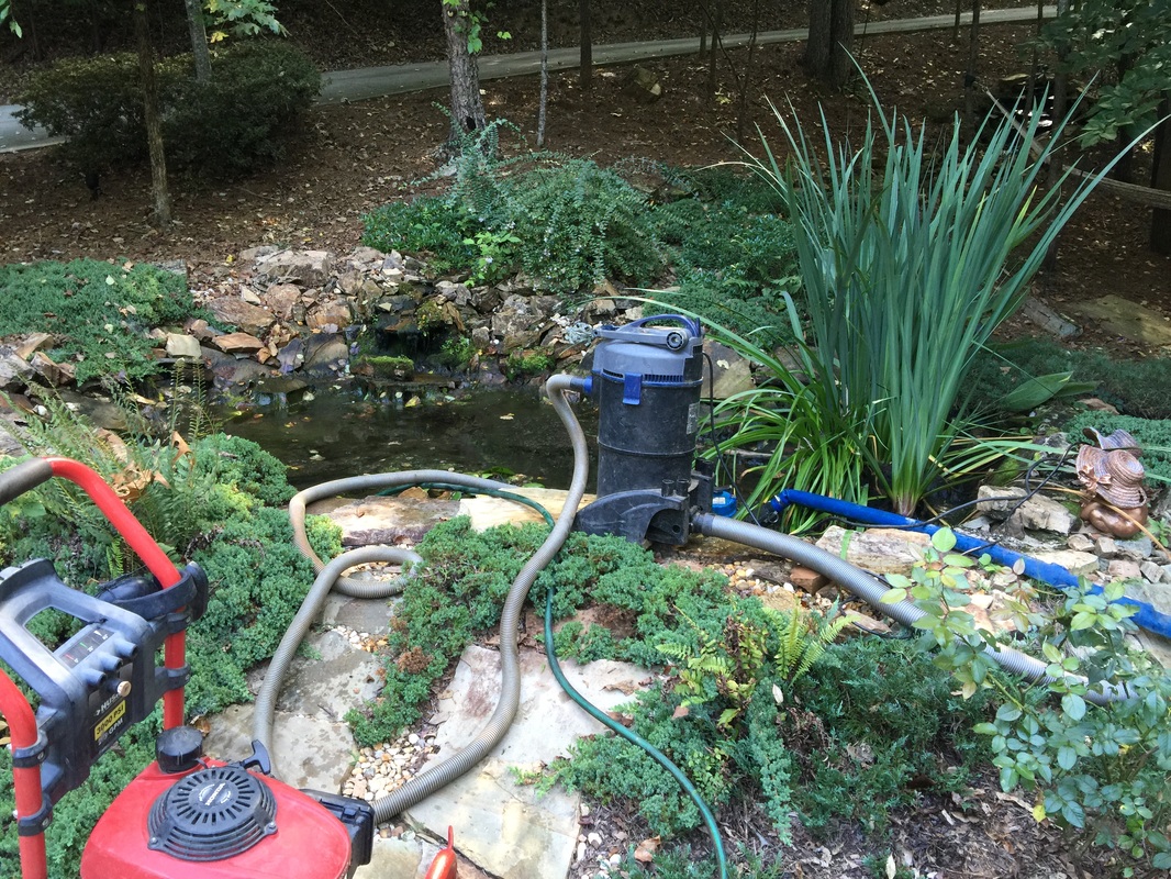 Spring Water Garden Cleaning Services-Alpharetta|Fulton ...